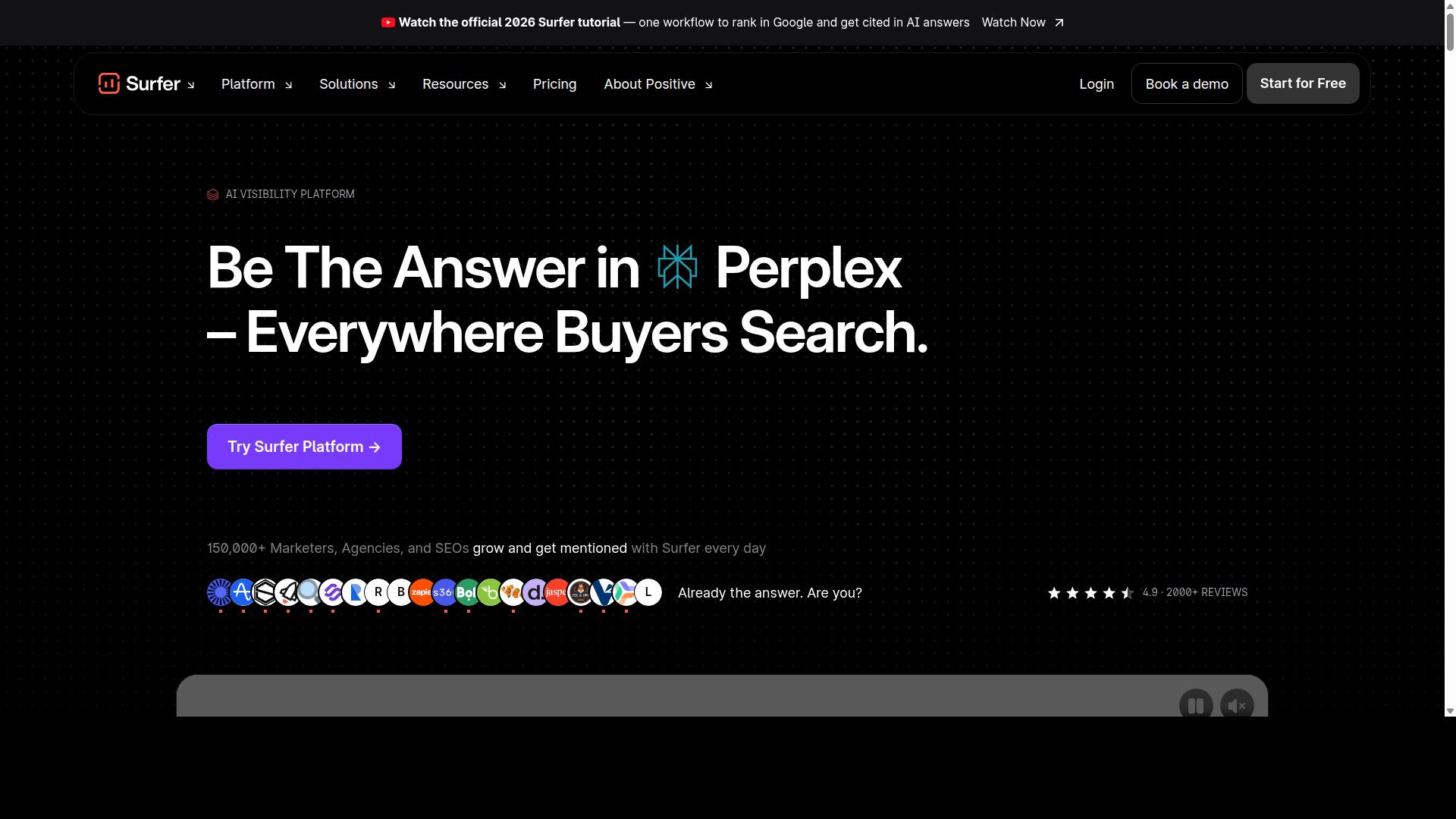 Surfer SEO website